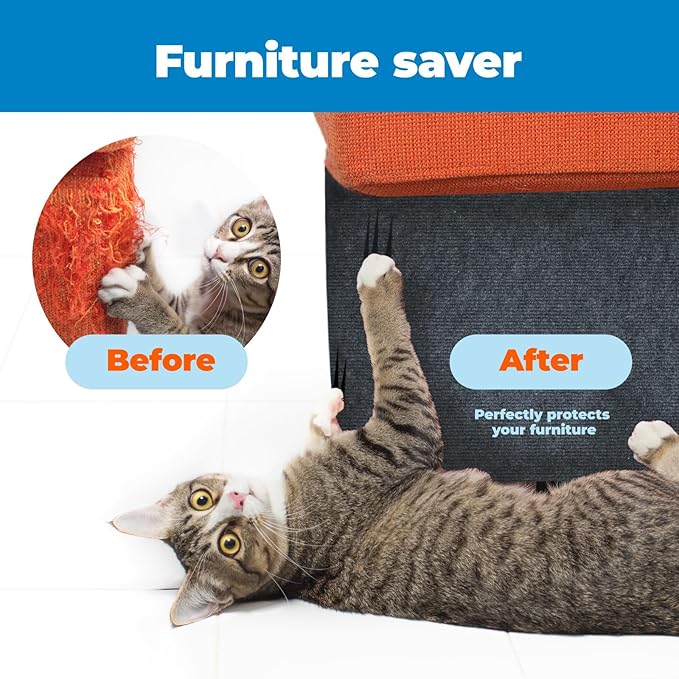 Best Pet Supplies Catify Cat Scratcher, Fun Interactive Scratchers, Posts, Poles, Claw Safe, Furniture Saver Indoor Play Support Natural Cat Behaviors Heavy Duty - Gray, 39.4 x 15.8