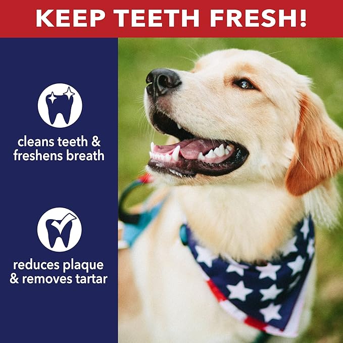 Pet Factory 100% Made in USA Beefhide 8" Rolls Dog Chew Treats - Natural Flavor, 10 Count/1 Pack