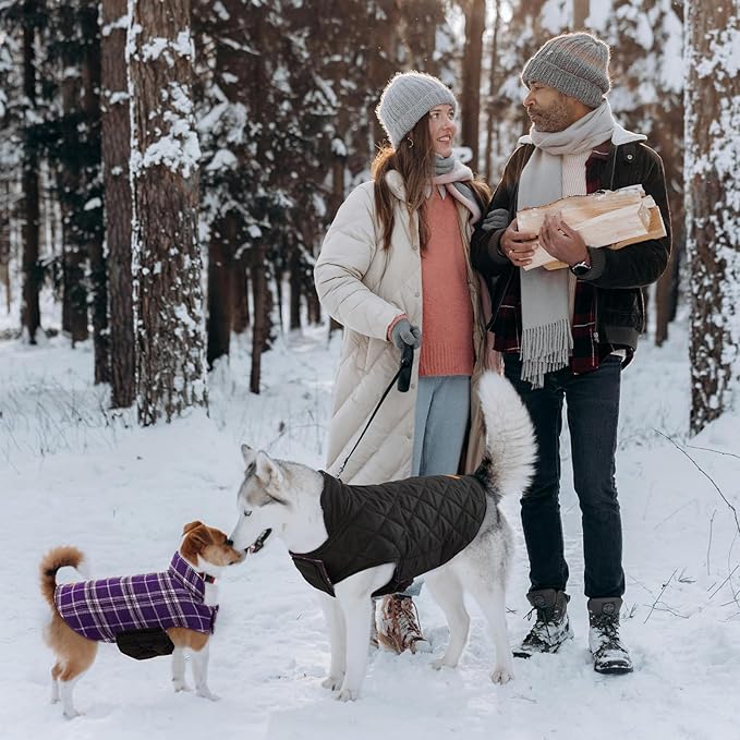 Kuoser Waterproof Dog Coat, Reversible Dog Jacket for Small Dogs, Adjustable Durable Doggie Winter Coat Warm Cozy Puppy Cold Weather Apparel from Small to Large Breed, Purple S