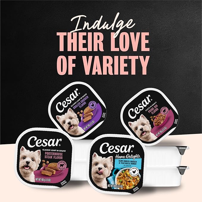 Cesar Classic Loaf in Sauce Adult Wet Dog Food Porterhouse Steak Flavor 3.5 oz. Easy Peel Trays, 24 Count (Pack of 1)
