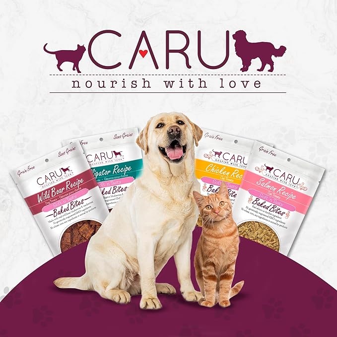 Caru - Soft ‘n Tasty Baked Bites - Chicken Bites Cat Treats - Flavorful All-Natural Treats - 3 oz. (Pack of 2)