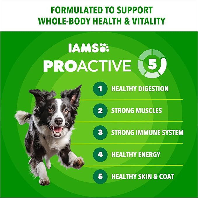 IAMS Proactive Health Minichunks Premium Dry Dog Food, Adult Dog Food Dry Recipe, 15 lb. Bag