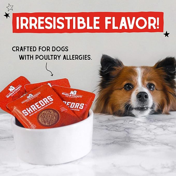 Stella & Chewy's Grass Fed Beef & Lamb Shredrs - Premium Dog Food Pouches - Perfect for Picky Eaters - 24 Pack, 2.8oz Each