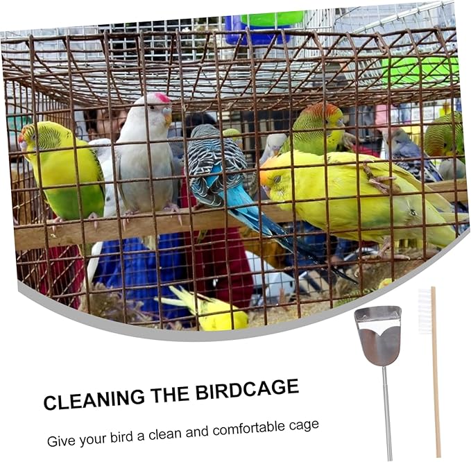 DOITOOL 4pcs Parrot Cage Cleaning Brush and Shovel Set Essential Pet Bird Cleaning Tools for Maintenance Create Healthy Environment for Your