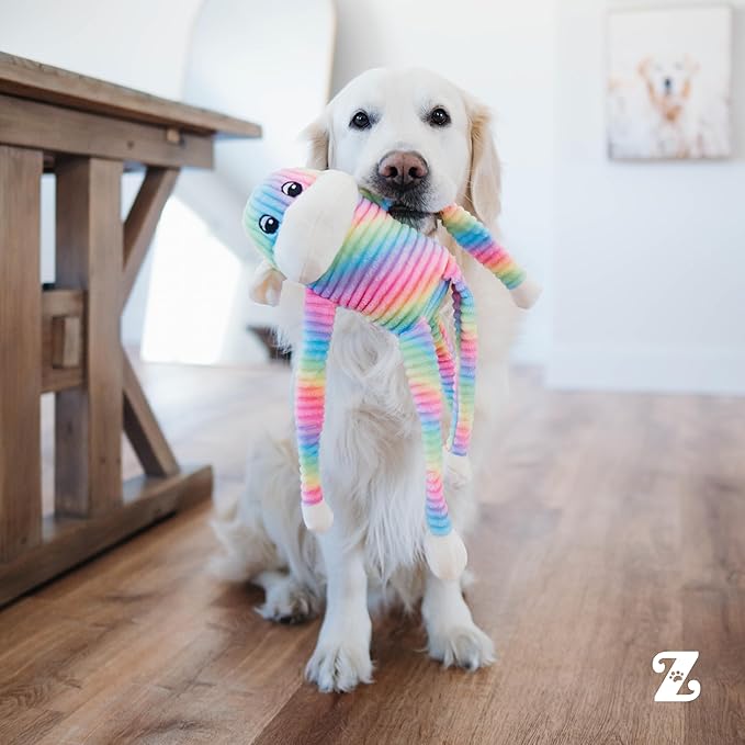 ZippyPaws - Spencer The Crinkle Monkey Dog Toy, Squeaker and Crinkle Plush Toy - Rainbow, Large