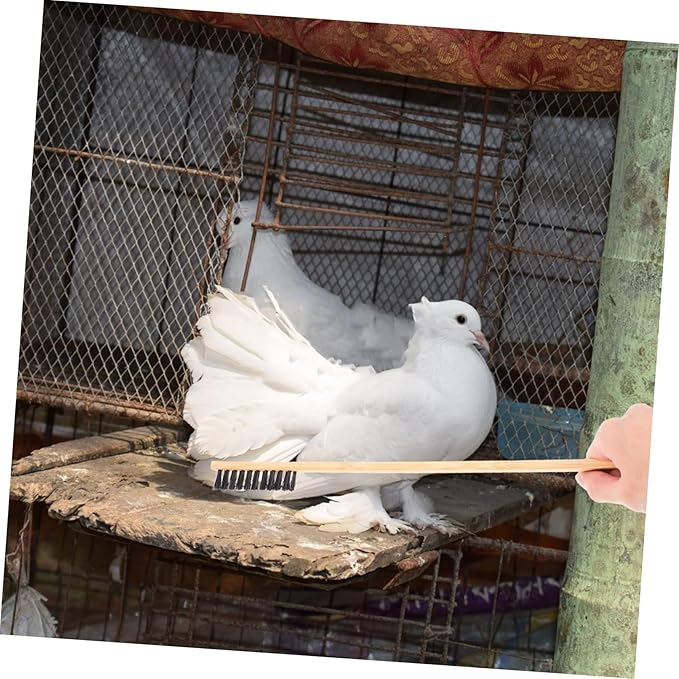 Hemobllo 2pcs Bird Cage Cleaning Brush Shovel Set Guinea Pig Bunny Chicken Coop Reptile Cage Accessory Pet Bird Small Animal Garden Cleaning Tool