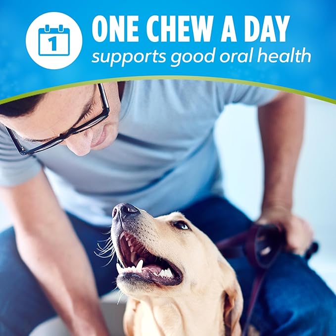 DentaLife ActivFresh Pack of 2 Dog Chews for Small Dogs, Dental Chews to Freshen Breath, Chicken Flavor, 13.5 oz. Each, 45 Each/90 Total - 45 Ct. Pouch