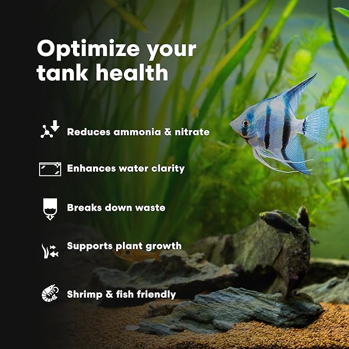 Brightwell Aquatics FlorinBacter7 Freshwater Aquarium Conditioner | Supports Biological Filtration | Removes Ammonia, Nitrite & Nitrate | Improves Water Clarity, 20L