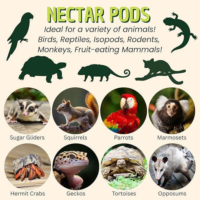Nectar Pods (Honey) - Calcium-Fortified Jelly Fruit Treat - Sugar Gliders, Marmosets, Squirrels, Parrots, Cockatiels, Parakeets, Lovebirds, Conures, Hamsters, Geckos, Kinkajous & Other Small Pets…
