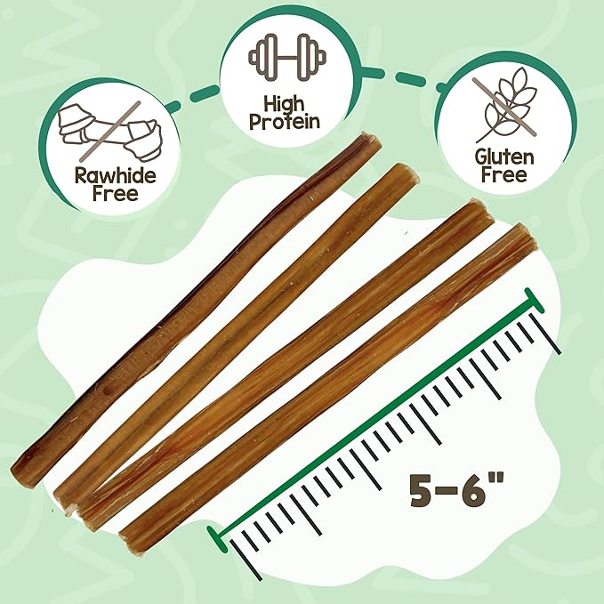 Nature Gnaws Small Bully Sticks for Dogs 5-6" (25 Count) - Long Lasting for Light Chewers and Puppies - Natural Thin Beef Dog Chew Bones - Rawhide Free