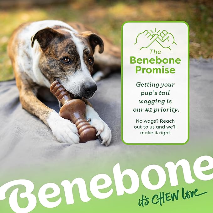 Benebone Zaggler Rolling Dog Chew Toy for Aggressive Chewers, Real Bacon, Made in USA, Medium (Pack of 2)