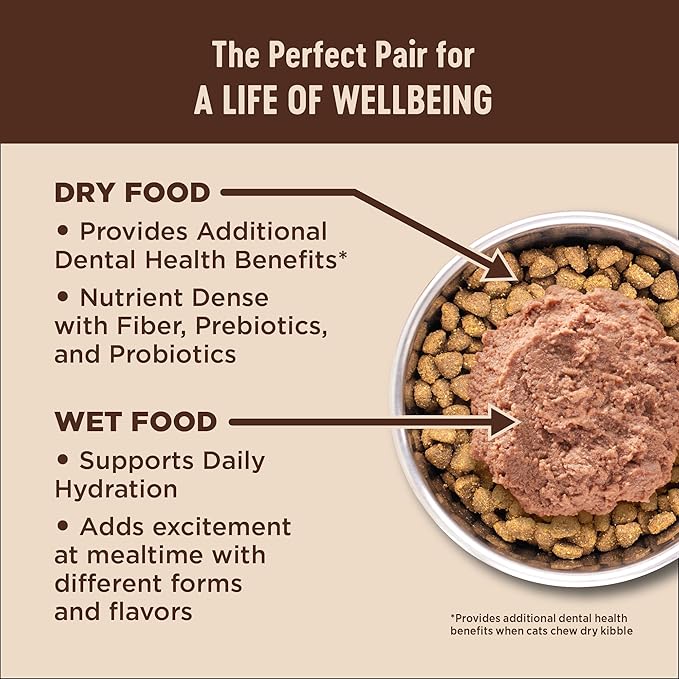 Wellness CORE+ Digestive Health Adult Dry Cat Food, Natural, Wholesome Grains Kibble, Salmon and Rice Recipe, 5 lb Bag