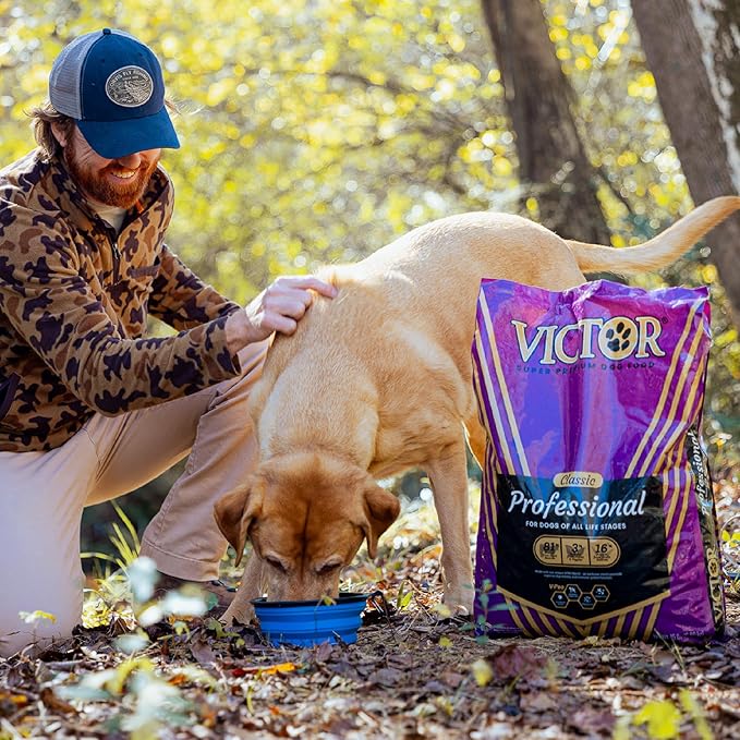 VICTOR Super Premium Dog Food – Professional Dry Dog Food – Super Premium Kibble with 26% Protein – Gluten-Free with Beef, Chicken & Pork Meals – for High Energy and Active Dogs & Puppies, 50lbs