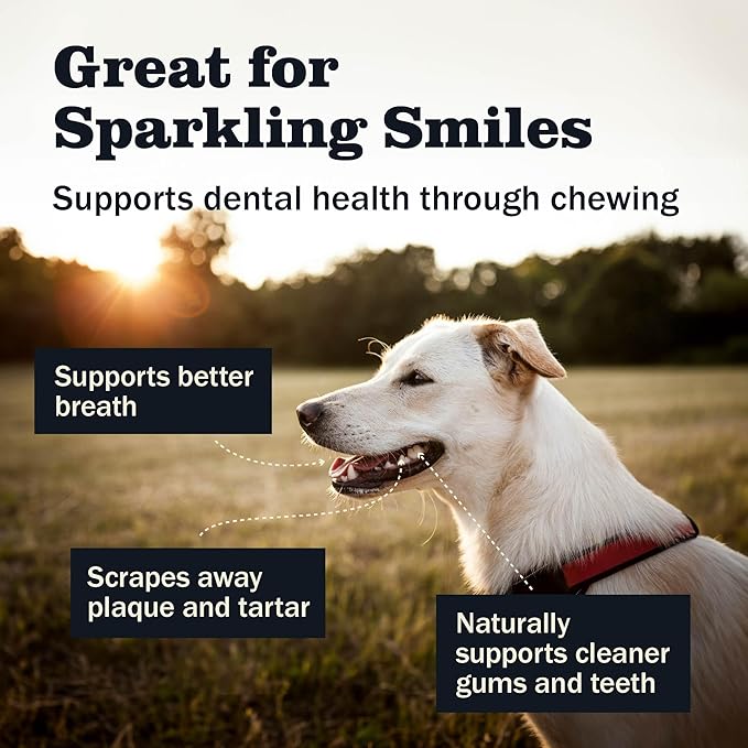 Redbarn Pet Products All-Natural Rawhide Bully Slices - Bully Stick Flavor - Premium Grain-Free Beef Hide Treats High Protein Low Fat for Chewers - 9 oz Bag