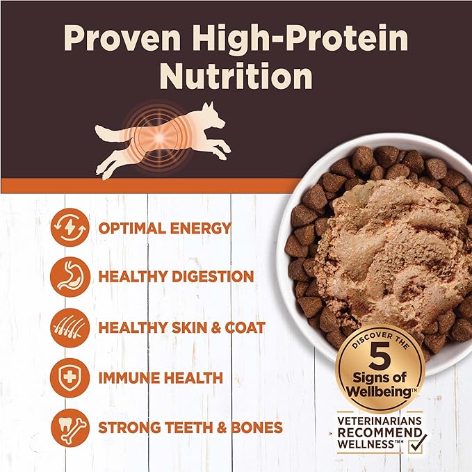 Wellness CORE Digestive Health Pate Variety Pack Adult Canned Wet Dog Food, Grain Free, Sensitive Stomach, Natural 13 oz, Pack of 6 Cans