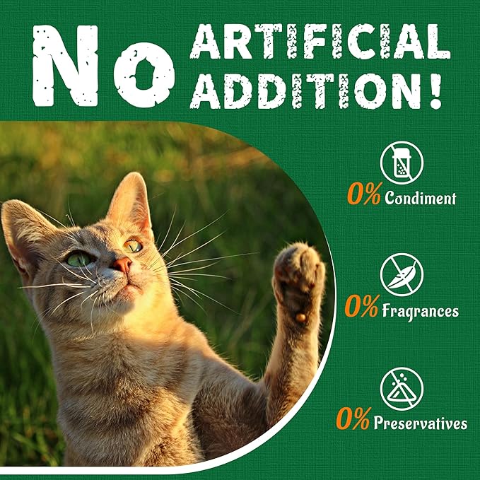 Just Try 13.4 OZ Cat Grass Treats Salmon Oil Natural Salmon Kitten Healthy Cat Treats Training Biscuits Snacks Fish Oil Omega 3 Supplements for Cats Joint Support & Skin Coat Health
