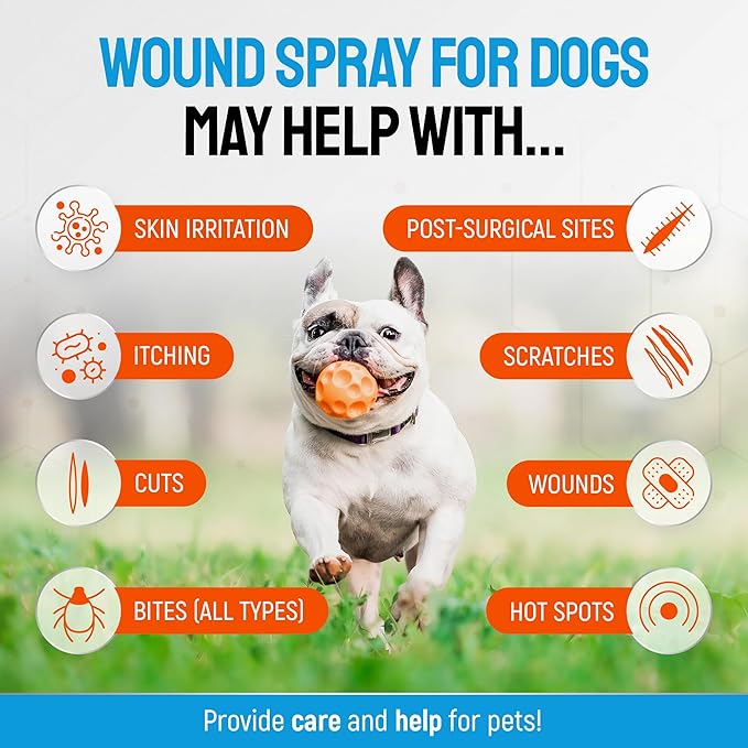 Silver Dog Wound Spray Helps with Hot Spots, Irritations, Bites, Burns, Rashes, Itch, Scratching – Better Use with a Dog Cone to Stop Licking – Safe for Large and Small Breeds – 4 oz