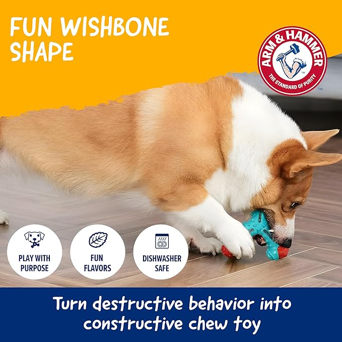 Arm & Hammer for Pets Nubbies Wishbone Dog Dental Toy | Best Dog Chew Toy for Moderate Chewers | Helps Reduce Plaque & Tartar | Chicken Flavor Baking Soda (Pack of 24)