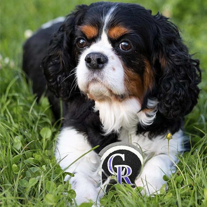 MLB Colorado Rockies TENNIS BALLS for DOGS & CATS - 2 piece set with Team Logo in Vibrant Team Color
