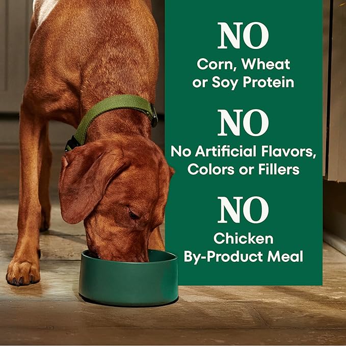 Nutro Natural Choice Large Breed Dry Dog Food, Adult Dog Food Chicken and Brown Rice Recipe, 36 lbs.