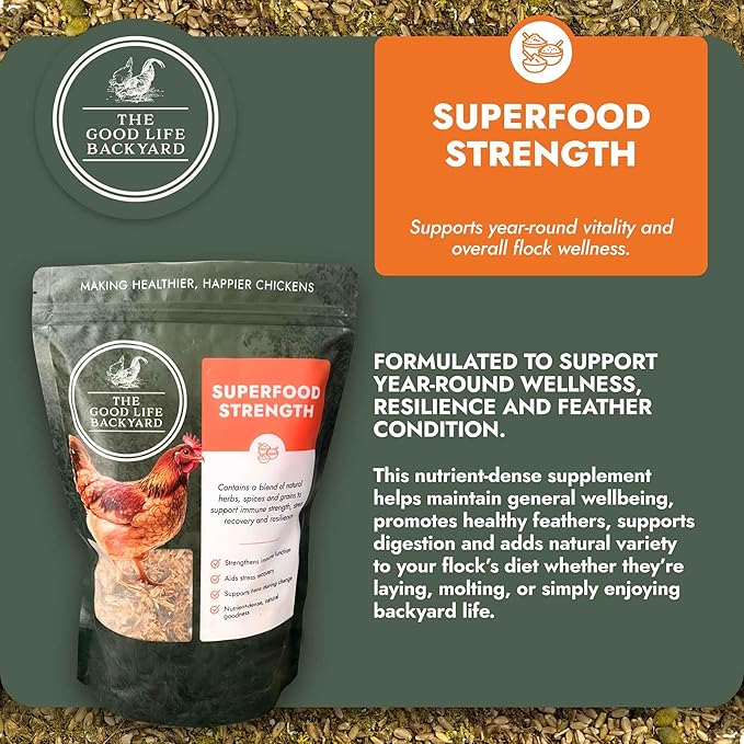 Good Life Backyard Superfood Strength for Chickens – General Wellbeing Nutrient Rich Poultry Supplement (2 lb Pouch) | Hatching Time