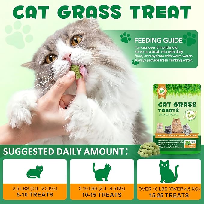180g/6.4oz Cat Grass Treats for Hairball Control, Natural Teeth Cleaning & Fresh Breath, Crunchy Catnip Flavored Biscuits with Barley Grass, Cat Training Rewards for All Breeds