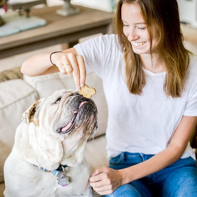 Cloud Star Wag More Bark Less - Dog Treats - Crunchy Biscuits - Grain Free Peanut Butter & Apples - 2.5 lb Pouch