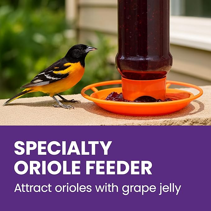Perky-Pet Wild Oriole Jelly Bird Feeder - 32oz Capacity, Built-in Stirrer with Large Circular Feeding Tray, Wraparound Perch, Outdoor Garden Décor for Backyard Birding & Wildlife, 253