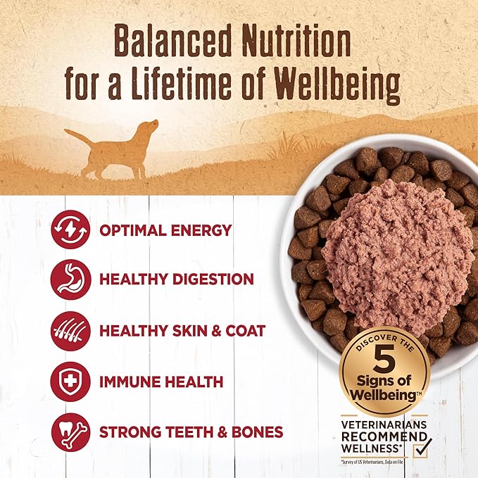 Wellness 95% Beef Adult Canned Wet Dog Food, Grain Free, Natural, 13.2 oz, Pack of 12 Cans