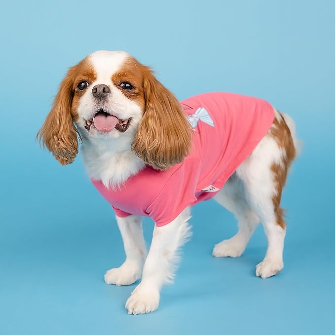 Doggy Parton to Look This Cheap T Shirt - XXL