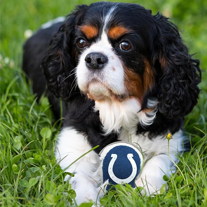 NFL INDIANAPOLIS COLTS TENNIS BALLS for DOGS & CATS - 2 piece set with Team Logo in Vibrant Team Color