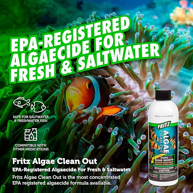 Fritz Aquatics AFA48008 Algae Clean Out for Aquarium, 8-Ounce, Model: 805000