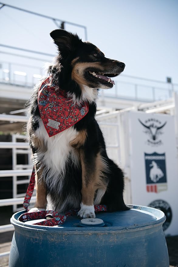 Hooey Nomad Dog Bandana, Polyester Dog Bandana with Graphic-Inspired Prints, Western Floral