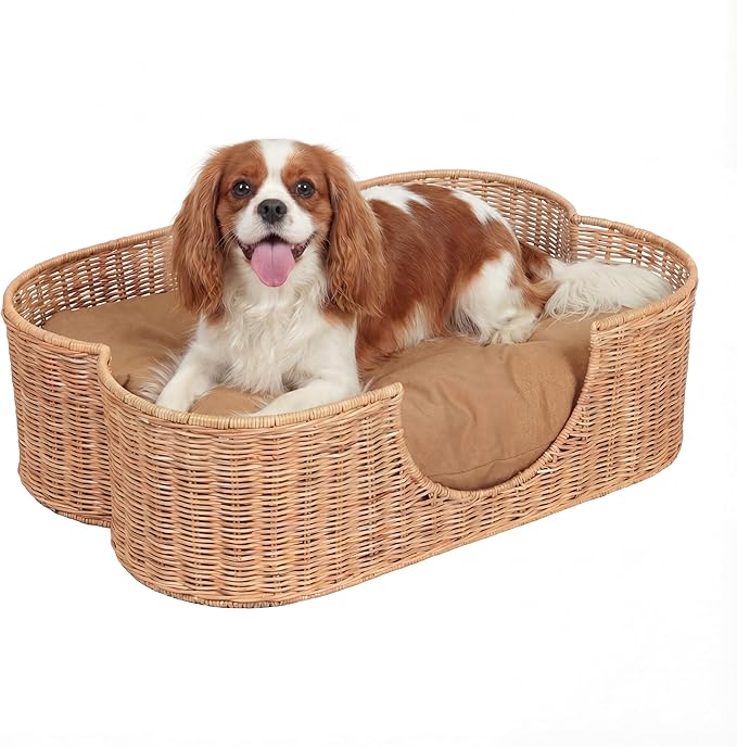 DBD1002B Scallop Handwoven Water Hyacinth Pet Bed with Machine Washable Cushion, 27" x 18.25" Wicker Cat and Dog Bed for Small to Medium Pets, Boho Tropical Style Basket, Light Brown