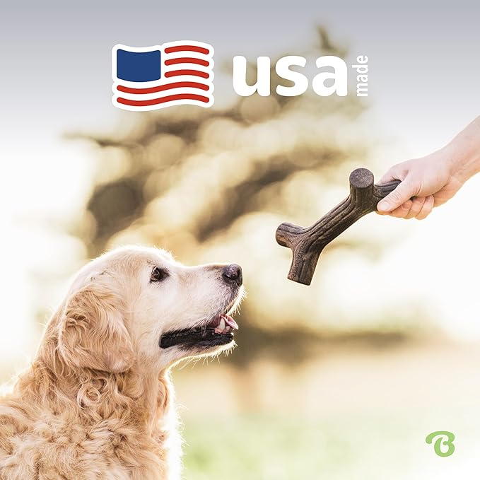Benebone Bacon Stick Durable Dog Chew Toy for Aggressive Chewers, Real Bacon, Made in USA, Medium