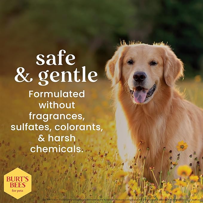 Burt's Bees for Pets Nose and Paw Balm with Beeswax & Cocoa Butter, 100% Natural Origin Dog Paw Pad Balm for Dry Cracked Paws & Noses, pH Balanced, Paraben & Sulfate Free, Made in the USA, 0.45 Oz
