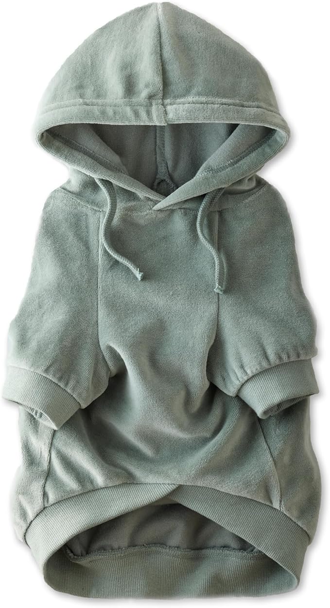 Pet Passion Cooper II Organic Cotton Velour Dog Hoodie Pet Coat for Small, Medium and Large Dogs, Sage, X-Small (5-12 lbs)