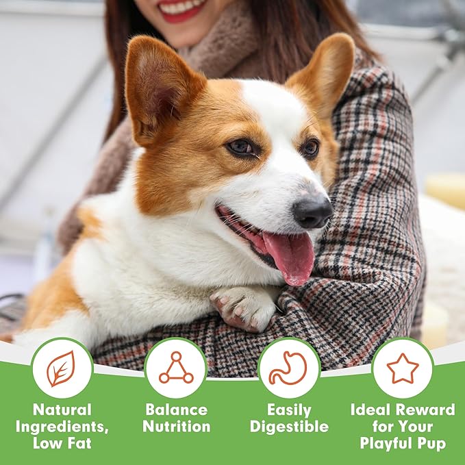 MON2SUN Chicken Jerky Dog Treats - Grain Free High Protein Chicken Strips for Small & Medium Dogs, Natural Training Treats & Healthy Rewards, Easy to Digest, 17.64 oz (Pack of 1)