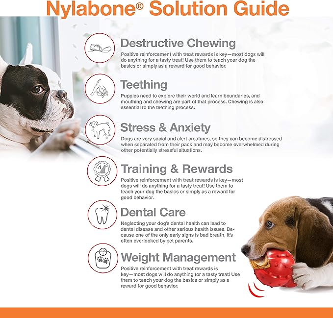 Nylabone Durachew Chicken Blister Card Wolf