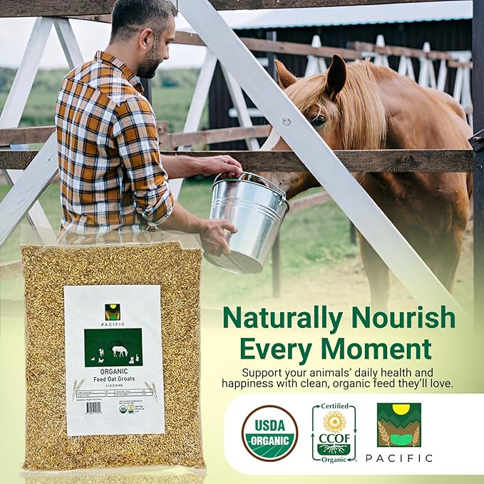 PACIFIC Organic Petfood Organic Feed Oat Groats - Oat Groats for Birds | Rich with Fiber & Minerals | USDA and CCOF Certified | Packed in USA | 2Lbs