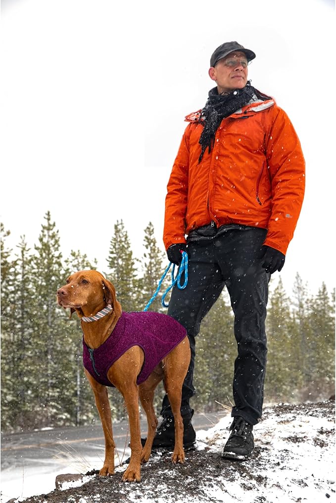 Kurgo Core Dog Sweater, Knit Dog Sweater With Fleece Lining, Cold Weather Pet Jacket, Zipper Opening for Harness, Adjustable Neck, Year-Round Sweater for Small Dogs (Heather Violet, X-Small)
