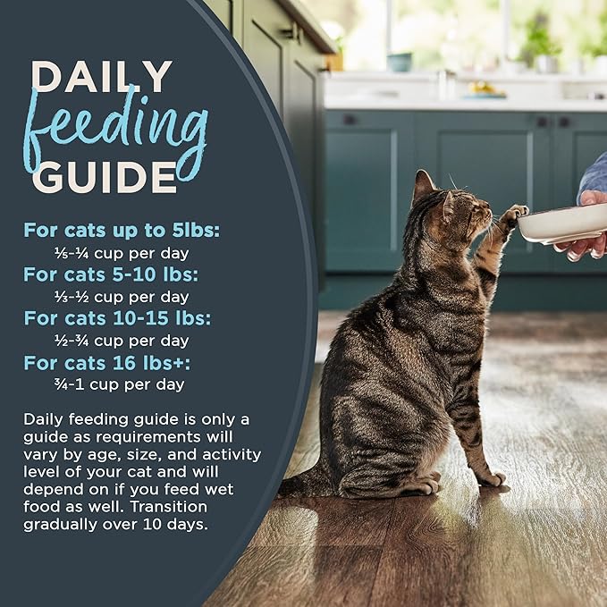 Reveal Natural Adult Dry Cat Food, High Protein, Grain Free with Added Vitamins & Minerals, Complete & Balanced Nutrition for Cats, Whitefish Recipe (3 Pound Bag)