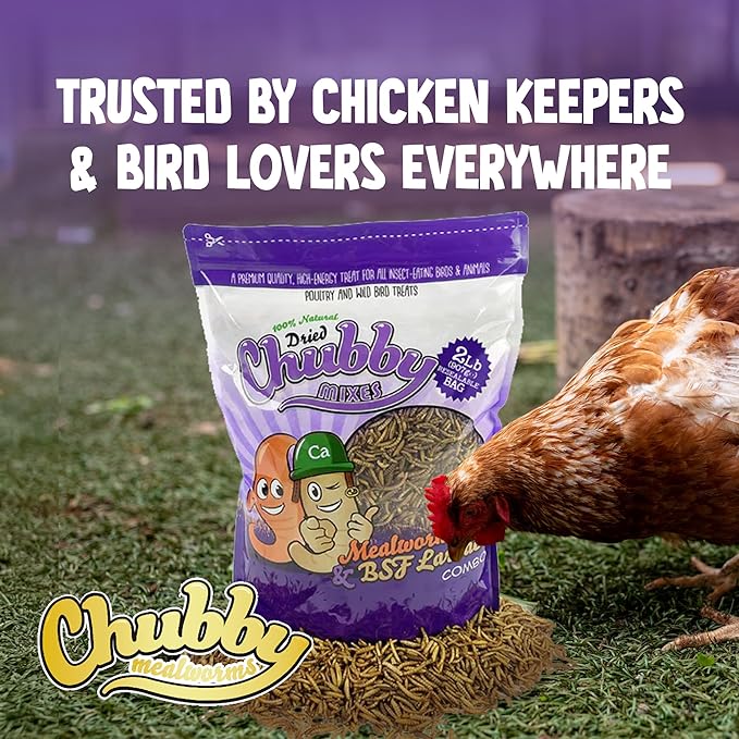 Chubby Mix Mealworm & Black Soldier Fly Larvae | 10 lbs | Non-GMO High-Protein Dried Insects for Chickens, Ducks & Wild Birds – Calcium-Rich Chicken Treats