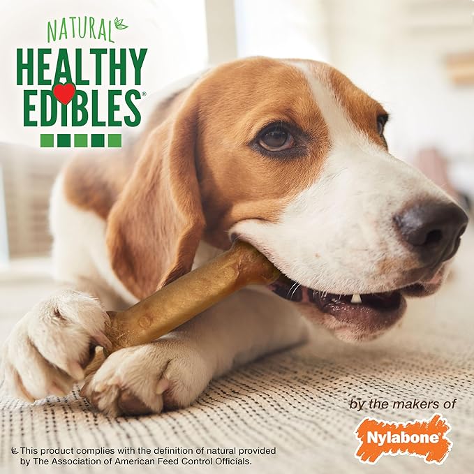 Nylabone Healthy Edibles Natural Dog Chews Long Lasting Roast Beef Flavor Treats for Dogs, Medium/Wolf, 2 Count, (Pak of 3)