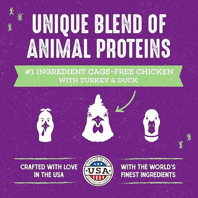 Stella & Chewy's Raw Blend Premium Kibble Cat Food – Grain Free, Protein Rich Meals – Cage-Free Poultry Recipe – 5 lb. Bag