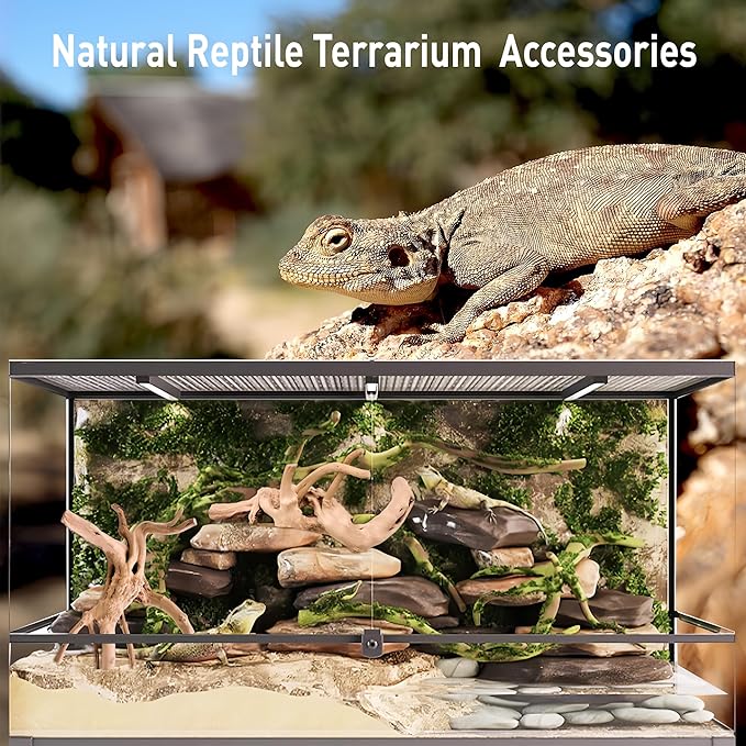 Kaiyuan Dynasty 3Pcs 8-10" Natural Aquarium Spiderwood for Reptile Terrariums Spider Wood Branch for Aquatic Plants Fish Tank Decorations