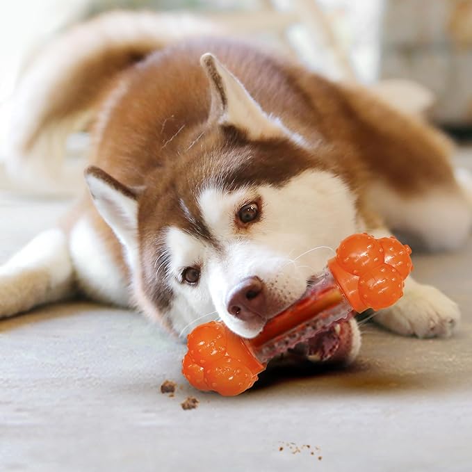 Nylabone Strong Chew Sneaky Snacker Treat Toy for Dogs, Interactive Dog Enrichment Chew Toys, Bacon Flavor, Large/Giant - Up to 50 lbs. (1 Count)