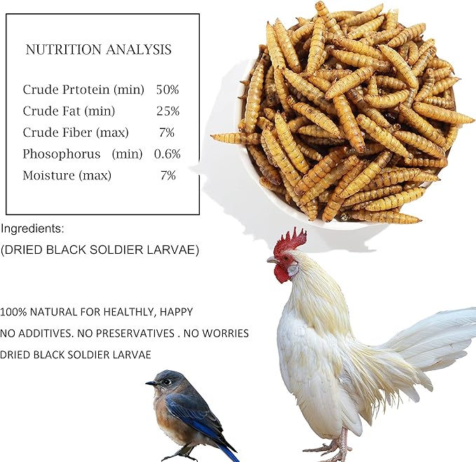 Non-GMO High-Protein Large Dried Black Soldier Fly Larva for Chickens, Natural Grubs and Poultry Treats as Chicken Feed,Duck Food, Wild Birds Seed,Reptile Food(Black Soldier fly-2LB)