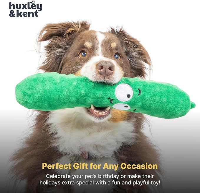 Huxley & Kent Funny Dog Toy w/Squeaker – Power Plush Squeaky Dog Toys for Small, Medium & Large Dogs – Soft Stuffed Animal for Indoor Play & Fetch - Fetchies® Dell Pickle, Small