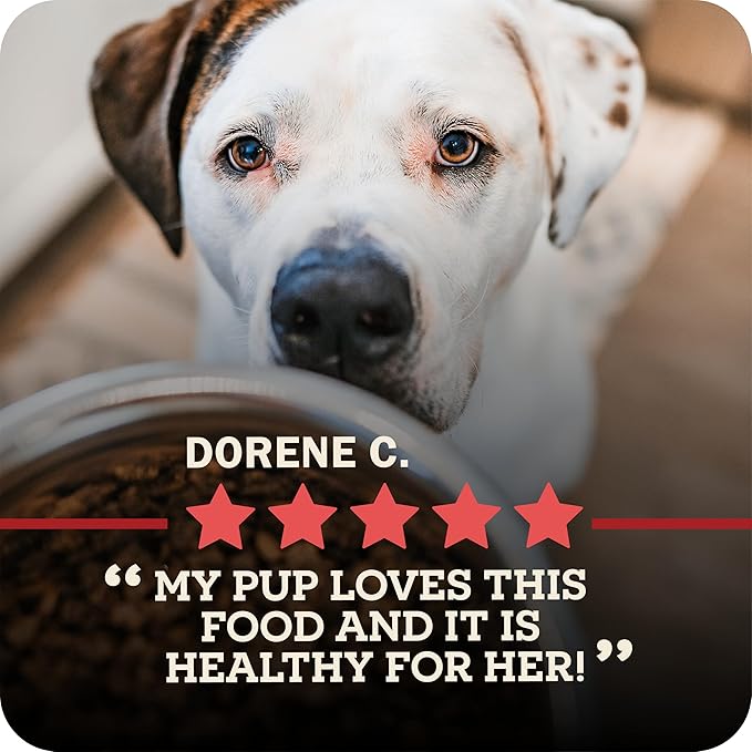 Redbarn Powerfood Air Dried Dog Food - 95% Beef & Beef Organs - High Protein Grain-Free Non-GMO Premium Dry Full Feed or Topper Made in USA with Omega 3 Salmon Oil Flaxseed - 2.5 Ounce (Pack of 3)